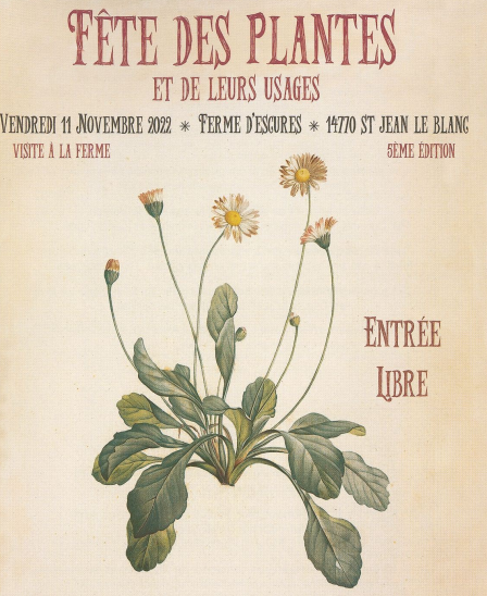 Fete des plantes St jean le blanc